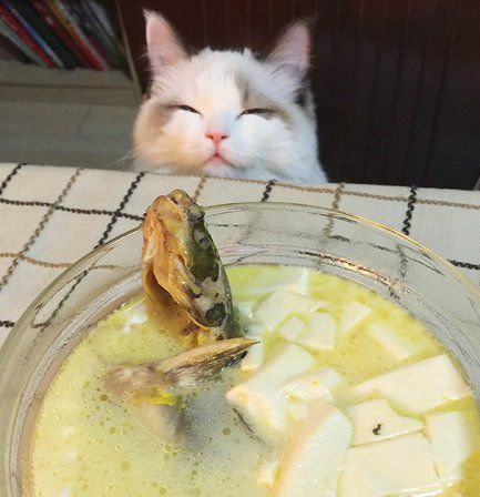 QQ图片20160719100325.png