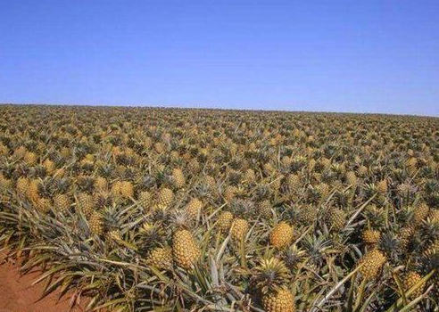 QQ图片20160728145706.png QQ图片20160728145706.png