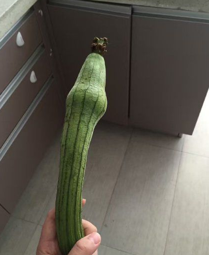 QQ图片20160725220804.png