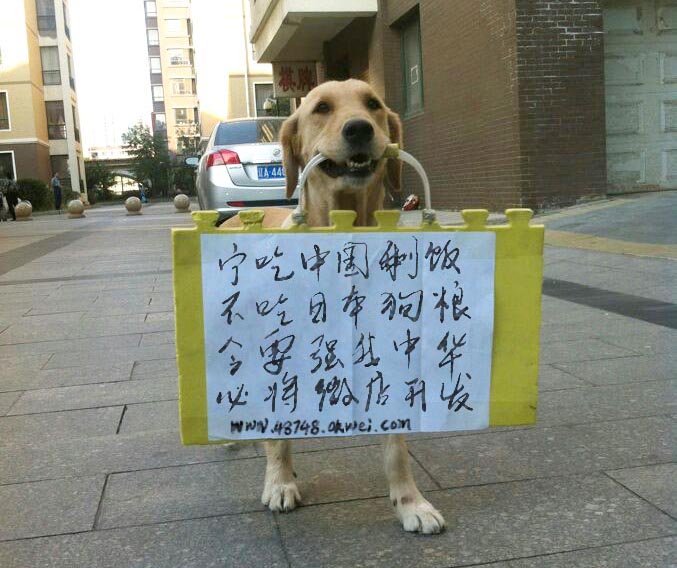 2014.11.14.18.18.25.01.jpg
